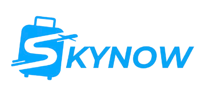 Skynow Tours and Travels